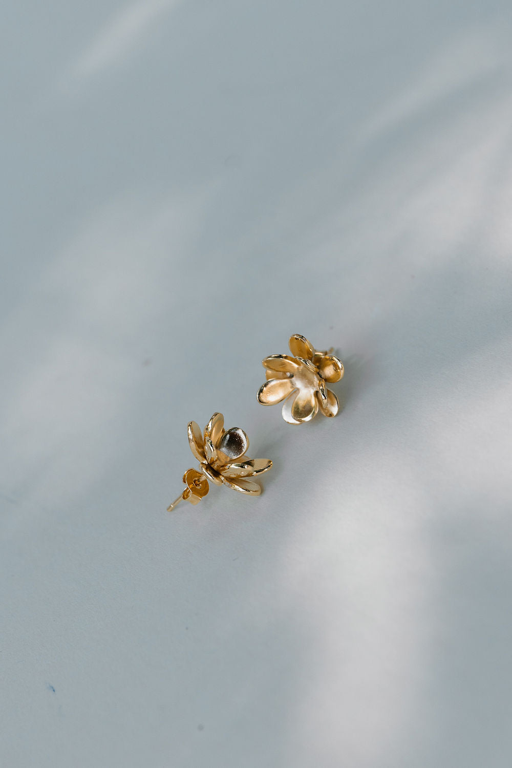 Boucles Daisy