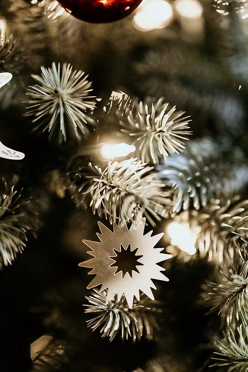 Supernova - Déco de sapin UN DE CES QUATRE 