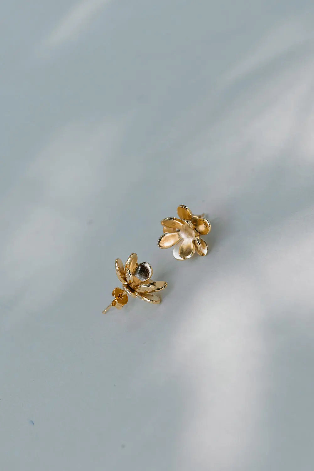 Boucles Daisy Un de ces quatre 
