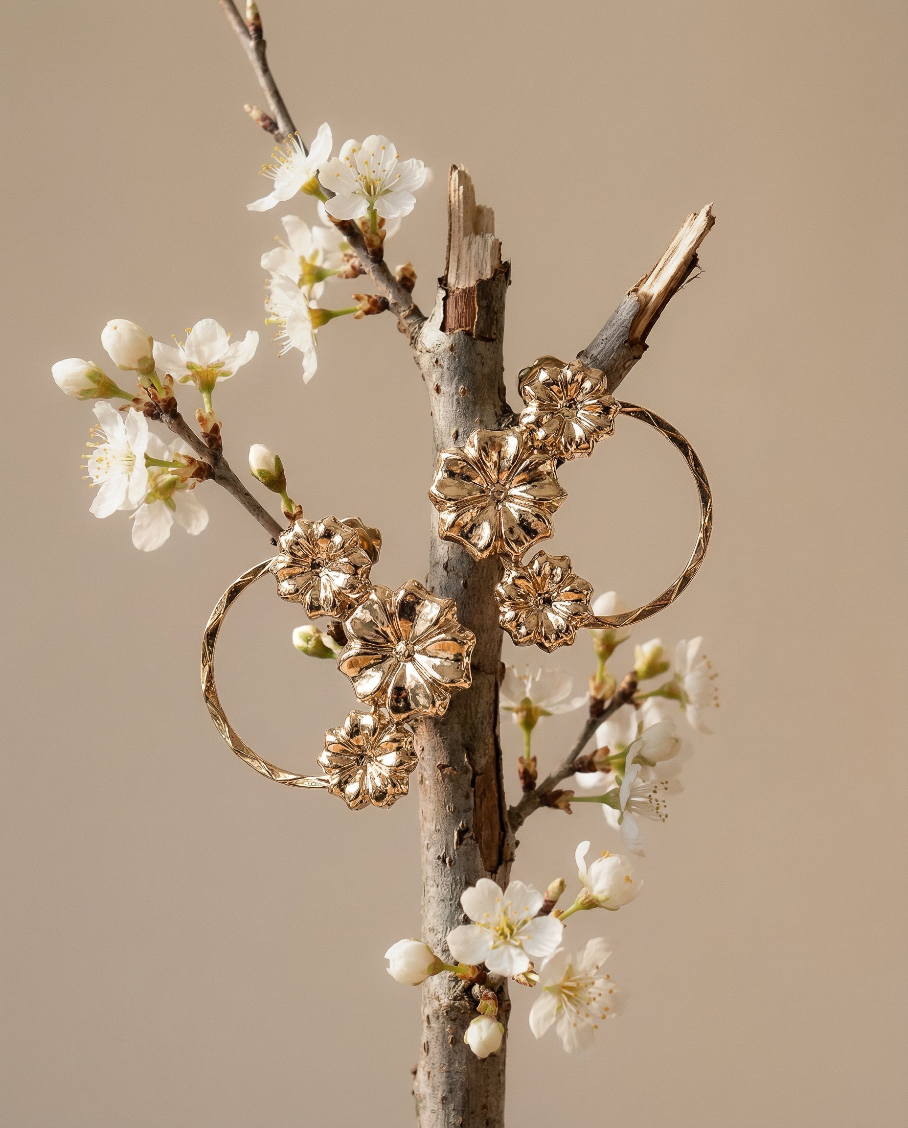 Boucles Sakura UN DE CES QUATRE 