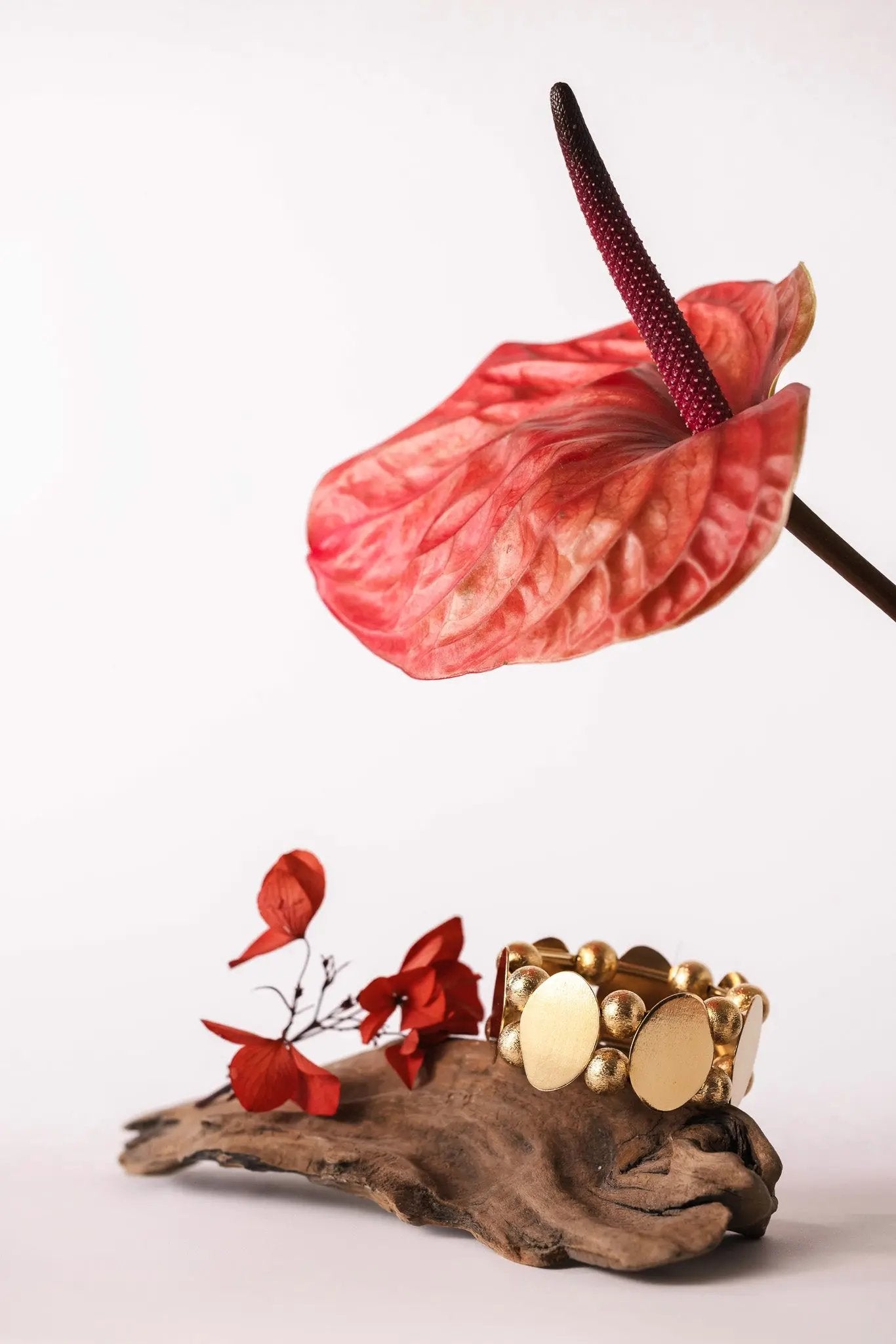 Manchette Seki UN DE CES QUATRE 